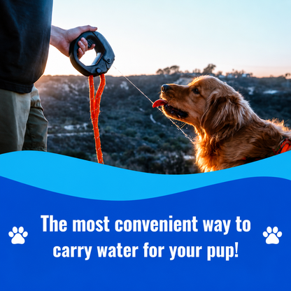 AquaGo™ — The Leak-Free Dog Water Bottle That Turns Any Walk Into a Water Break