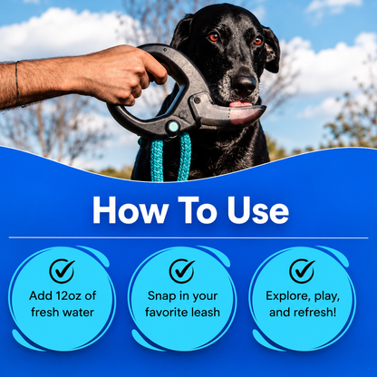 AquaGo™ — The Leak-Free Dog Water Bottle That Turns Any Walk Into a Water Break